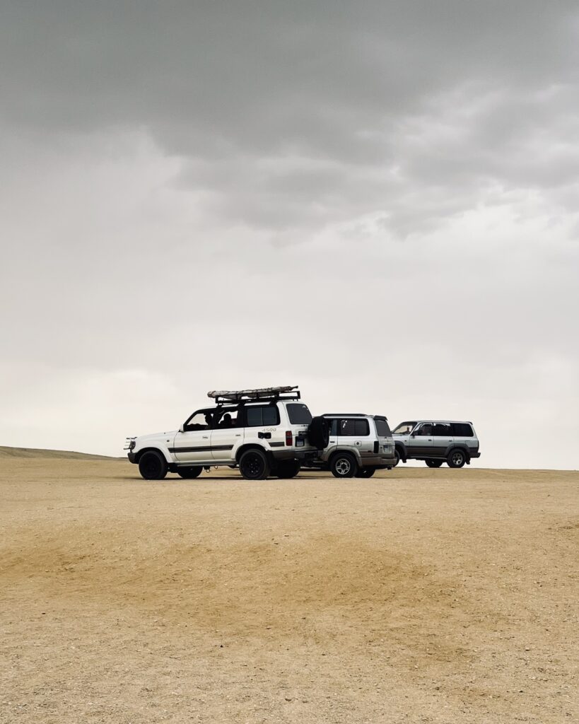 Fayoem woestijn: dagtrip vanuit Cairo