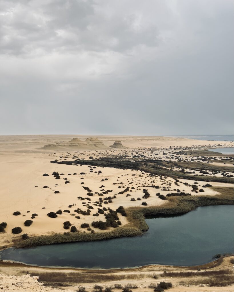 Fayoem woestijn: dagtrip vanuit Cairo