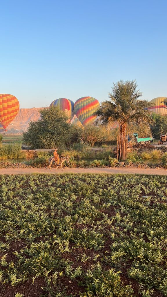 Reisvoorbereiding Egypte