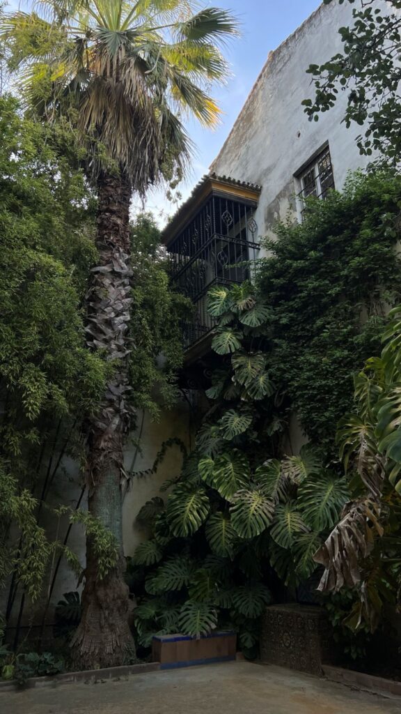 Stedentrip Sevilla: Palacio