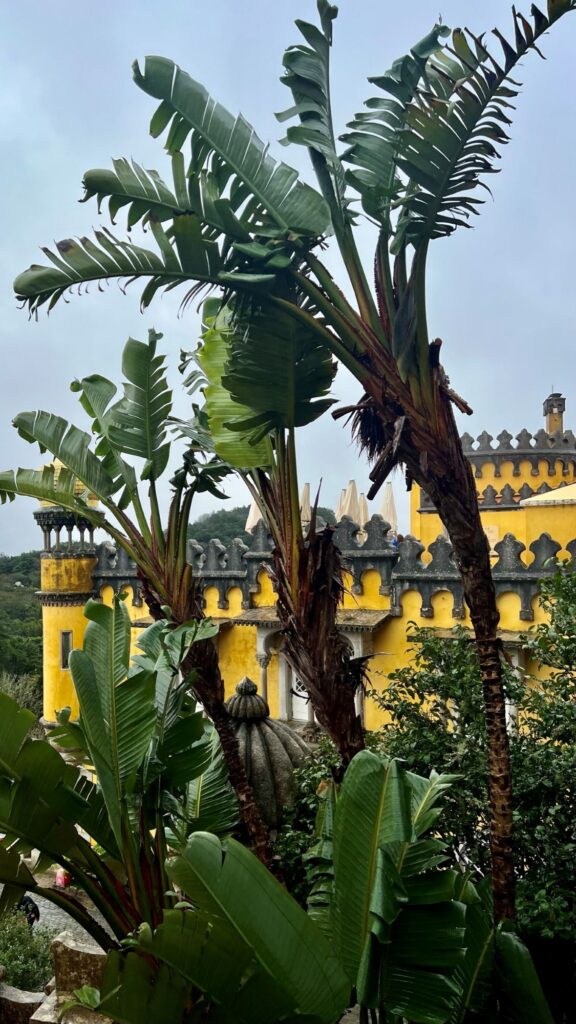 wat te doen in Lissabon: Sintra daguitstapje