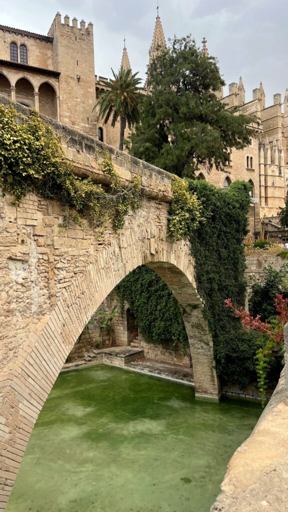 Wat te doen op Mallorca: Palma