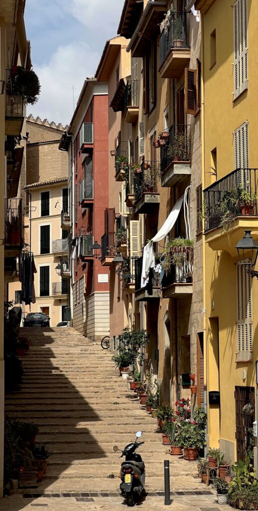Wat te doen op Mallorca: Palma