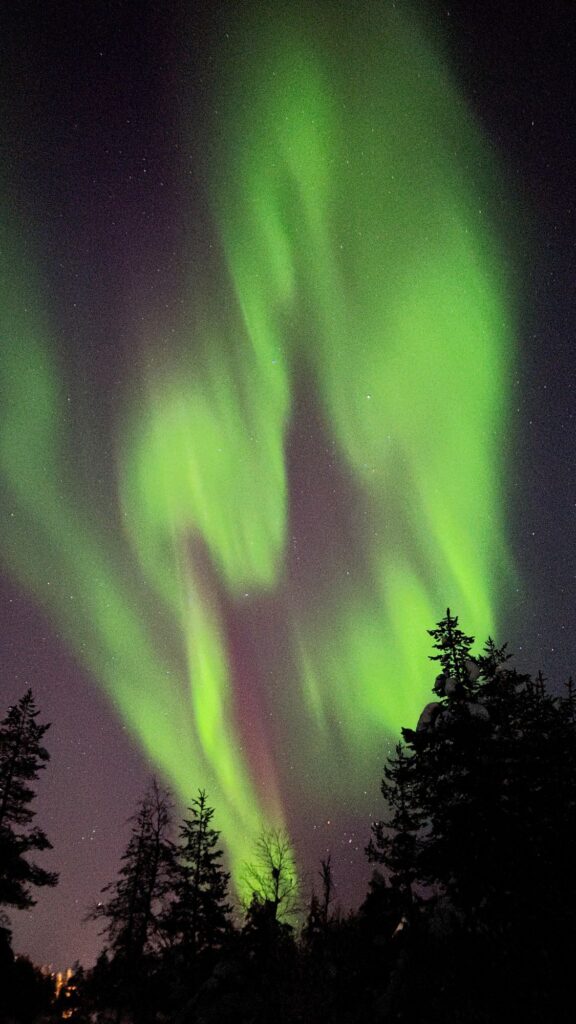 Wat te doen in Saariselkä: Noorderlicht
