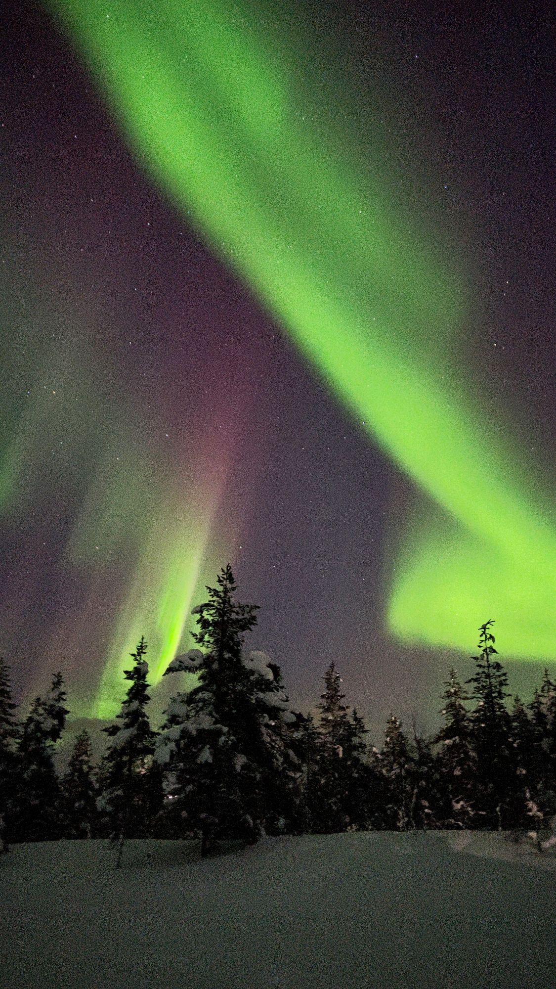 Wat te doen in Saariselkä: Noorderlicht zien