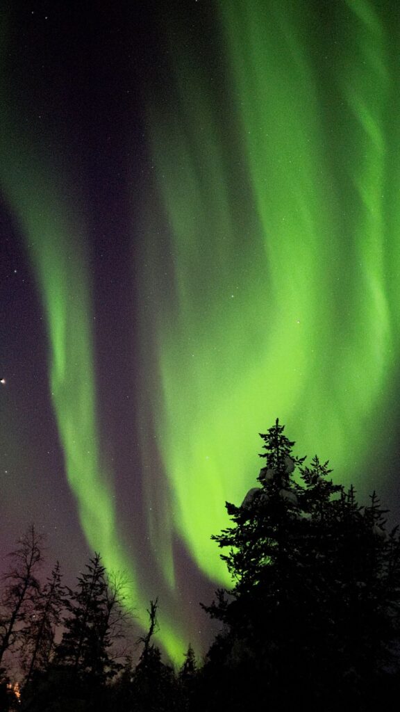 Wat te doen in Saariselkä: Noorderlicht