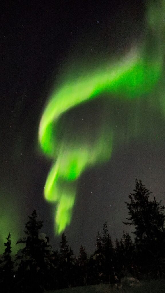 Wat te doen in Saariselkä: Noorderlicht