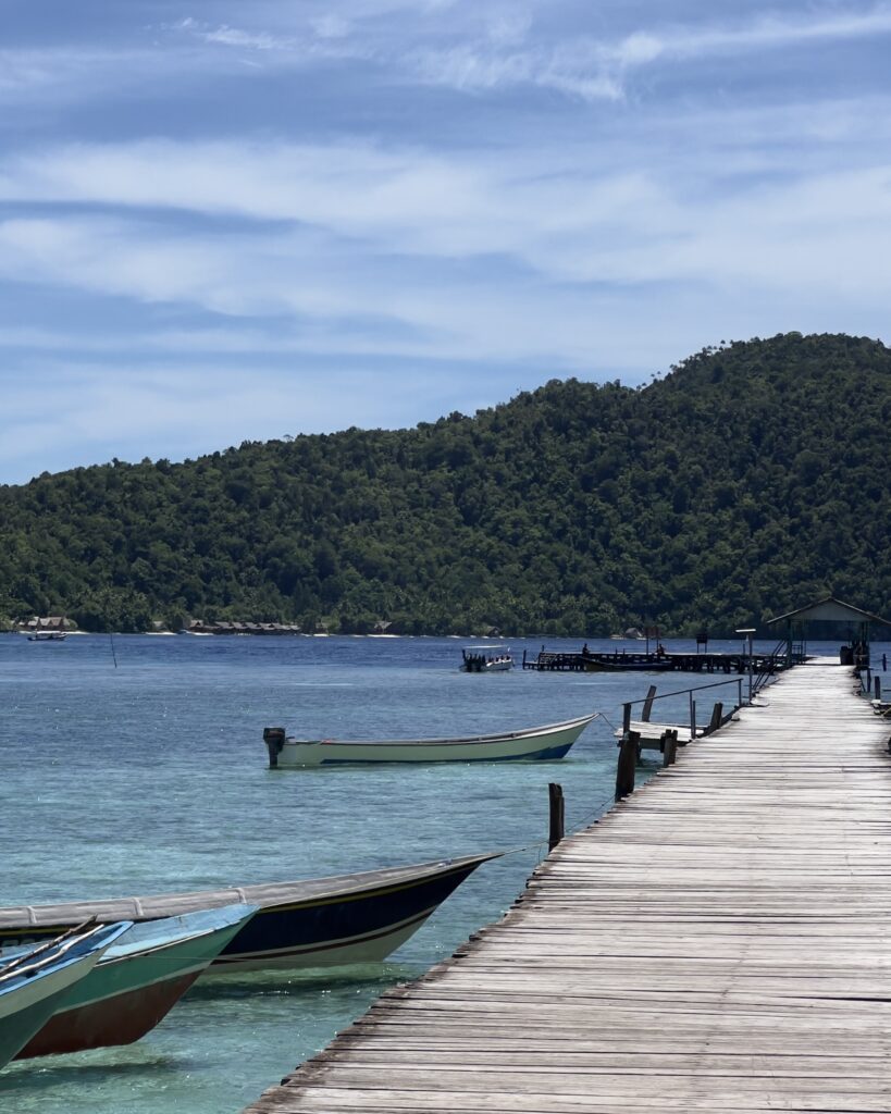 Boot raja ampat indonesie