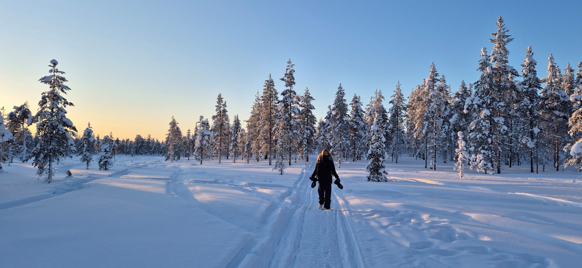 Wat te doen in Saariselkä: wandelen