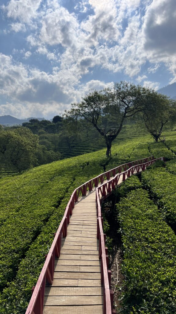 Bukit Kuneer Java